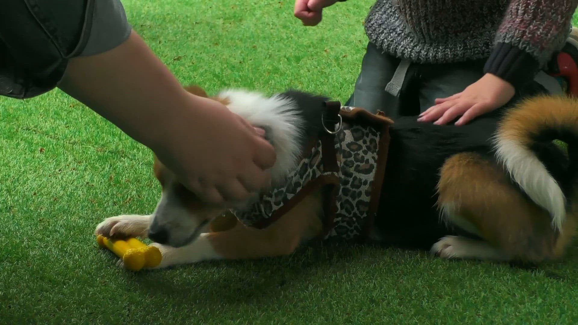 S1 E8 - En totale harmonie