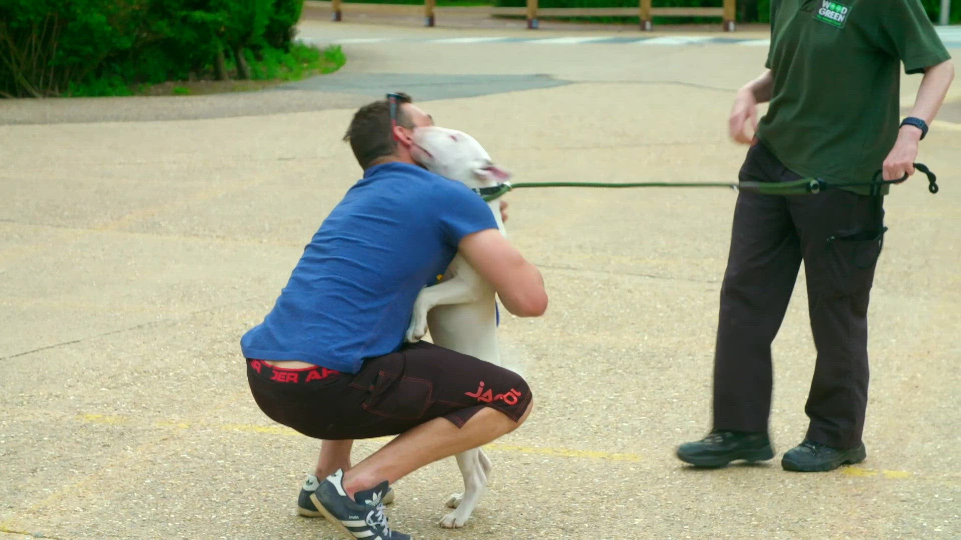 S1 E1 - Même pas peur