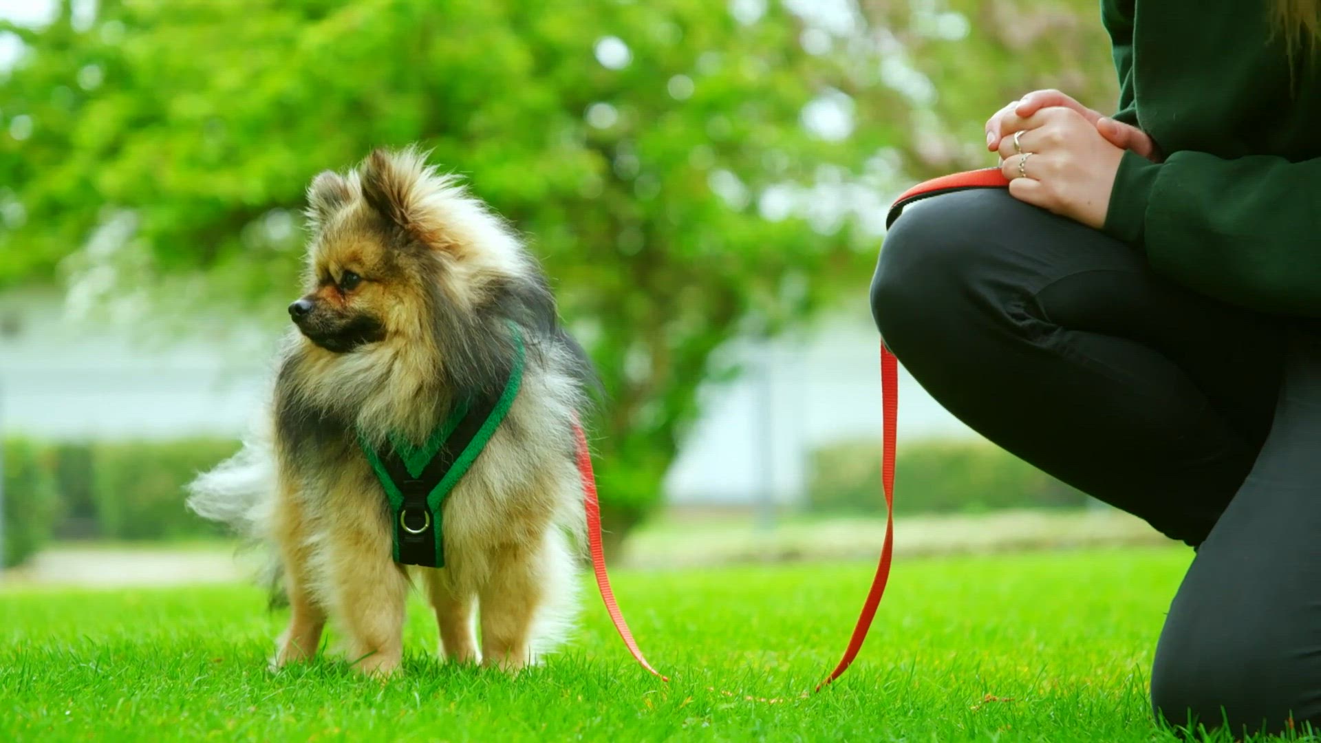 S1 E2 - Petit mais malin