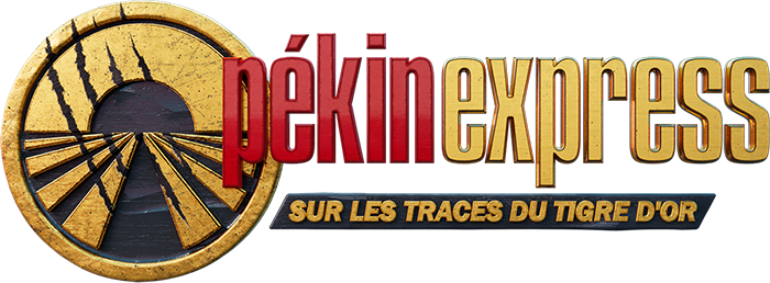 Program - logo - 945