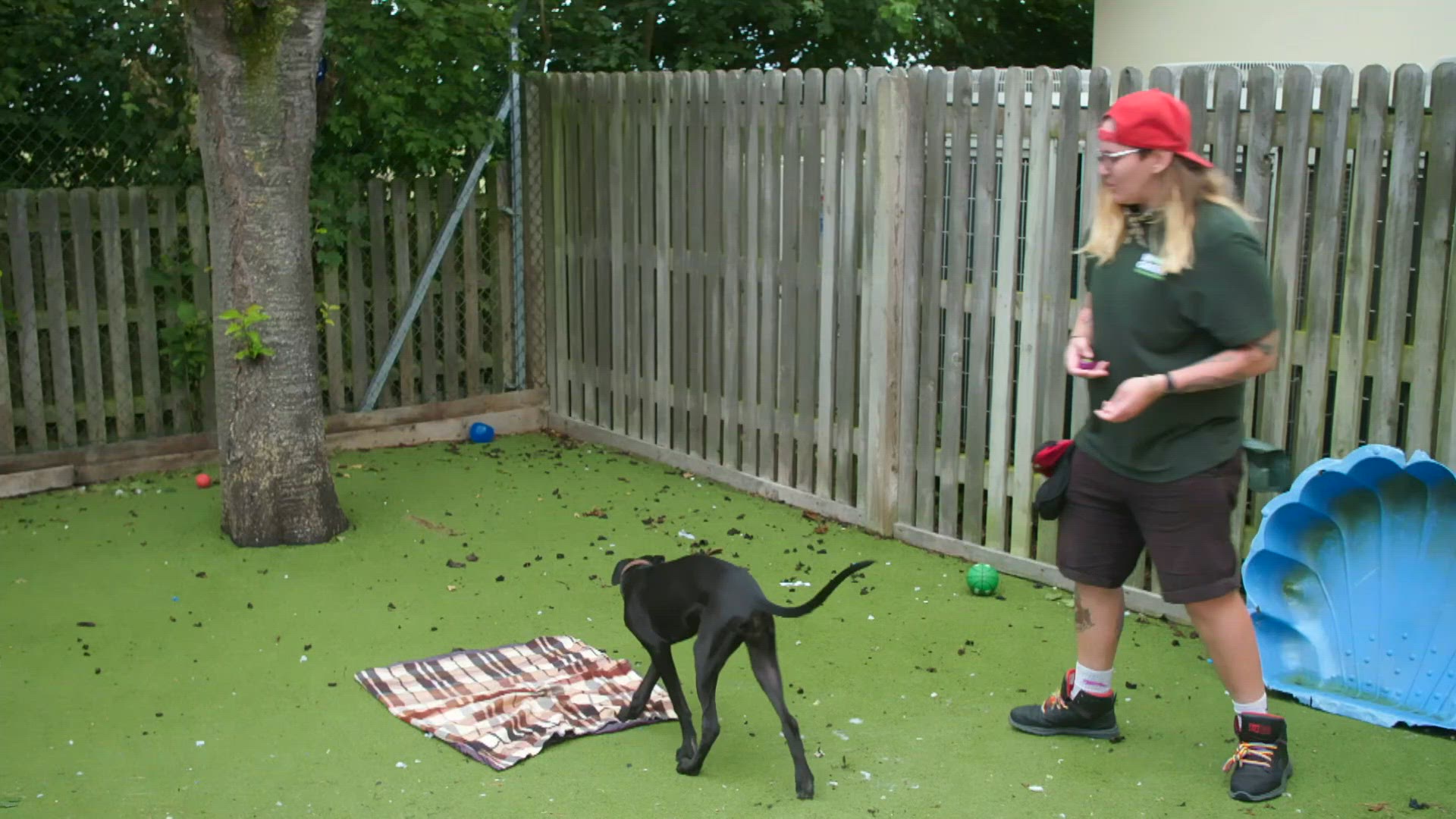 S2 E5 - Deux pour le prix d’un