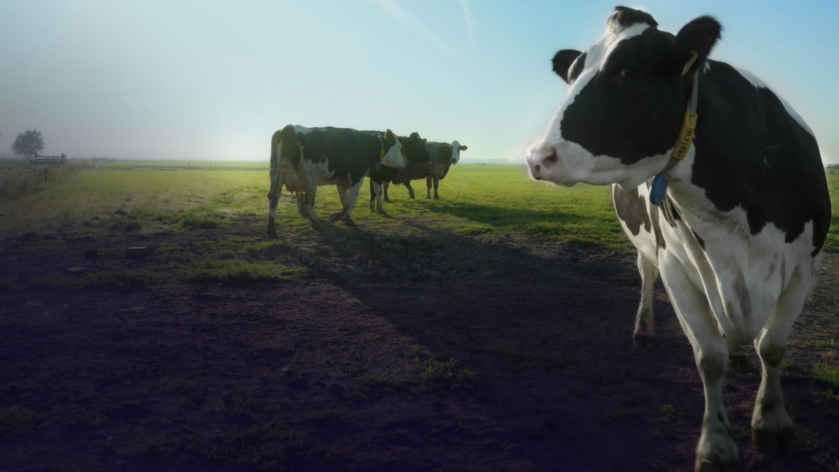 L'agriculture fait son salon