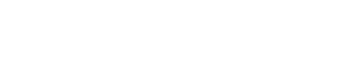 Company of heroes