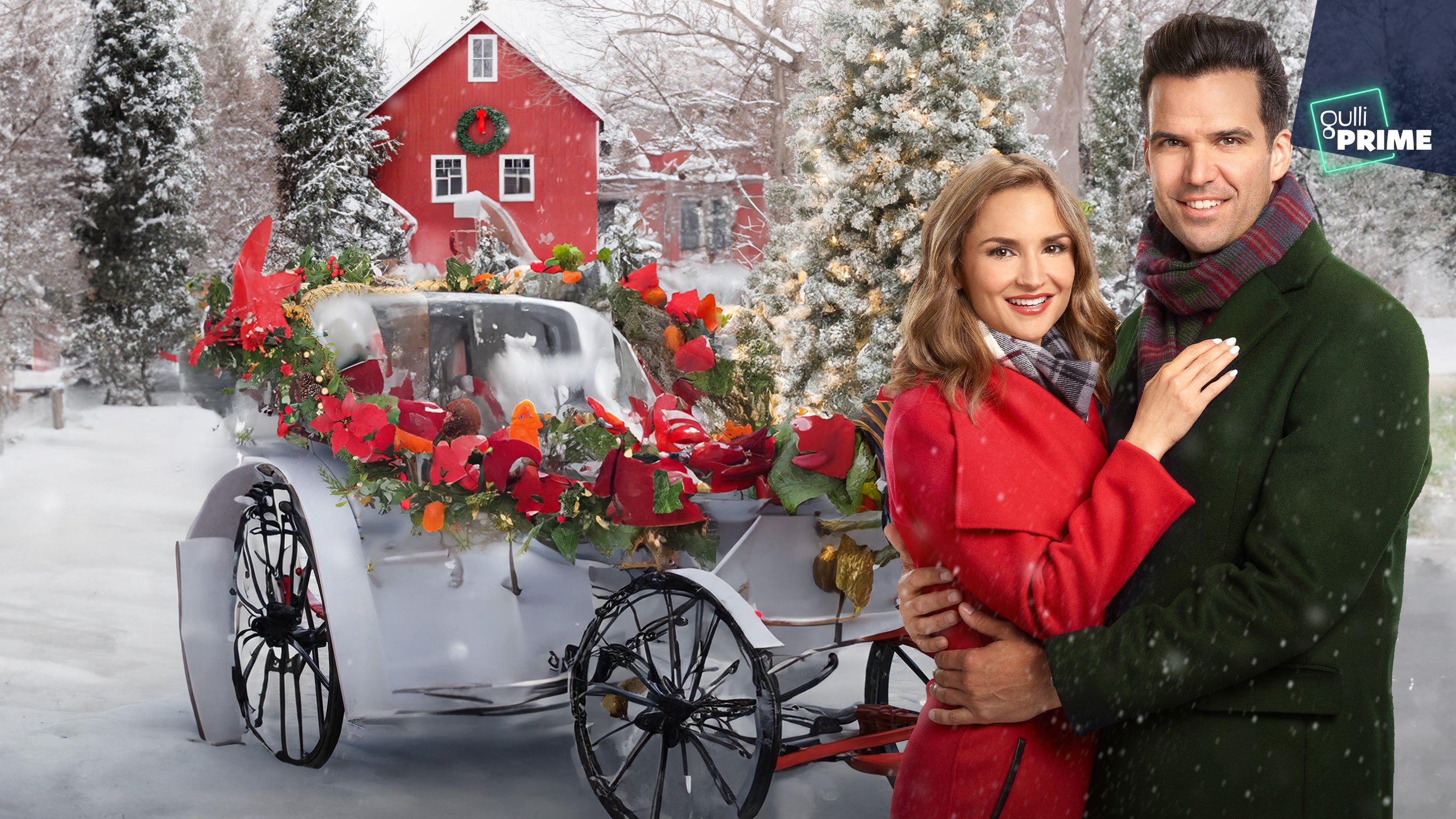 Le coup de cœur de Noël