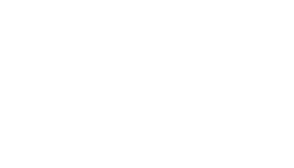Une rose pour Noël