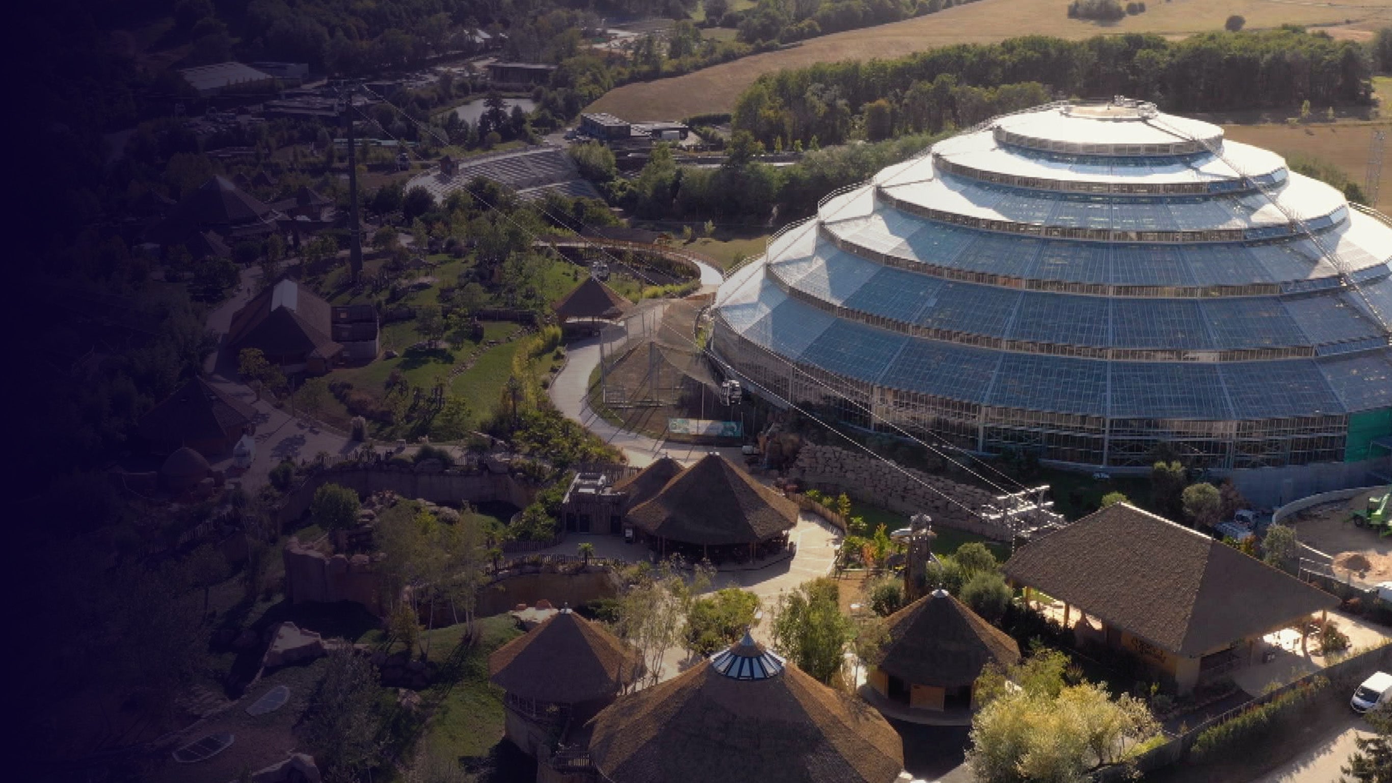 Plus grands, plus fous : les nouveaux défis du zoo de Beauval