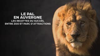 Le PAL en Auvergne : les recettes du succès, entre zoo et parc d’attractions