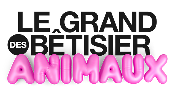 Le grand bêtisier des animaux