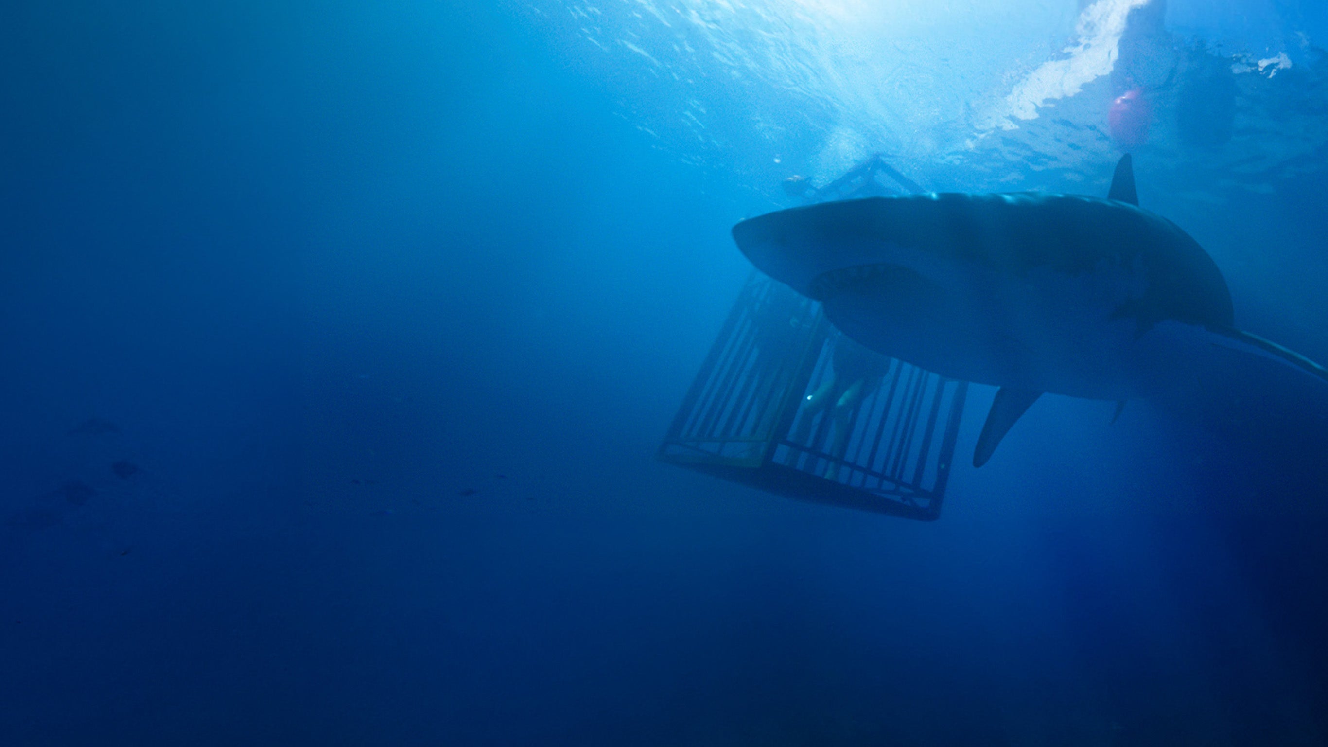 47 meters down