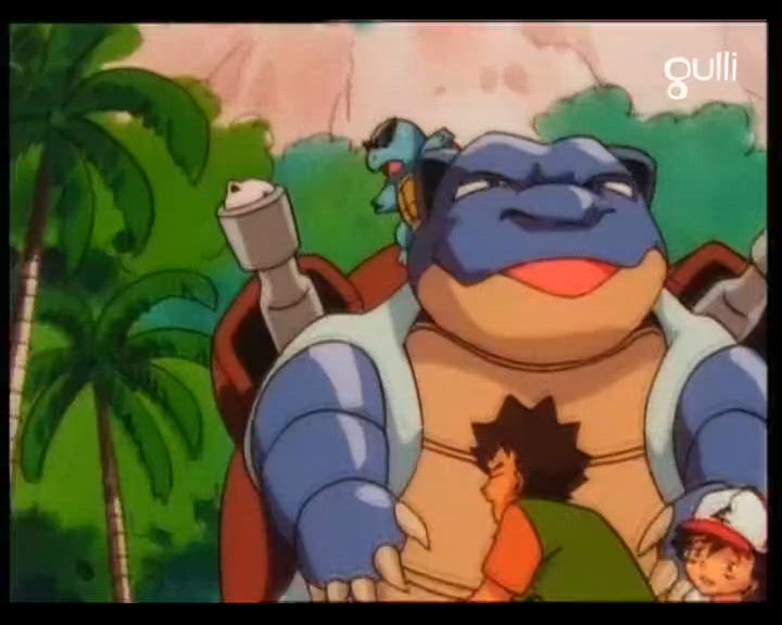 L'île des Pokémon Tortues