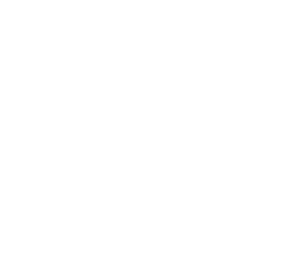 21st century serial killer