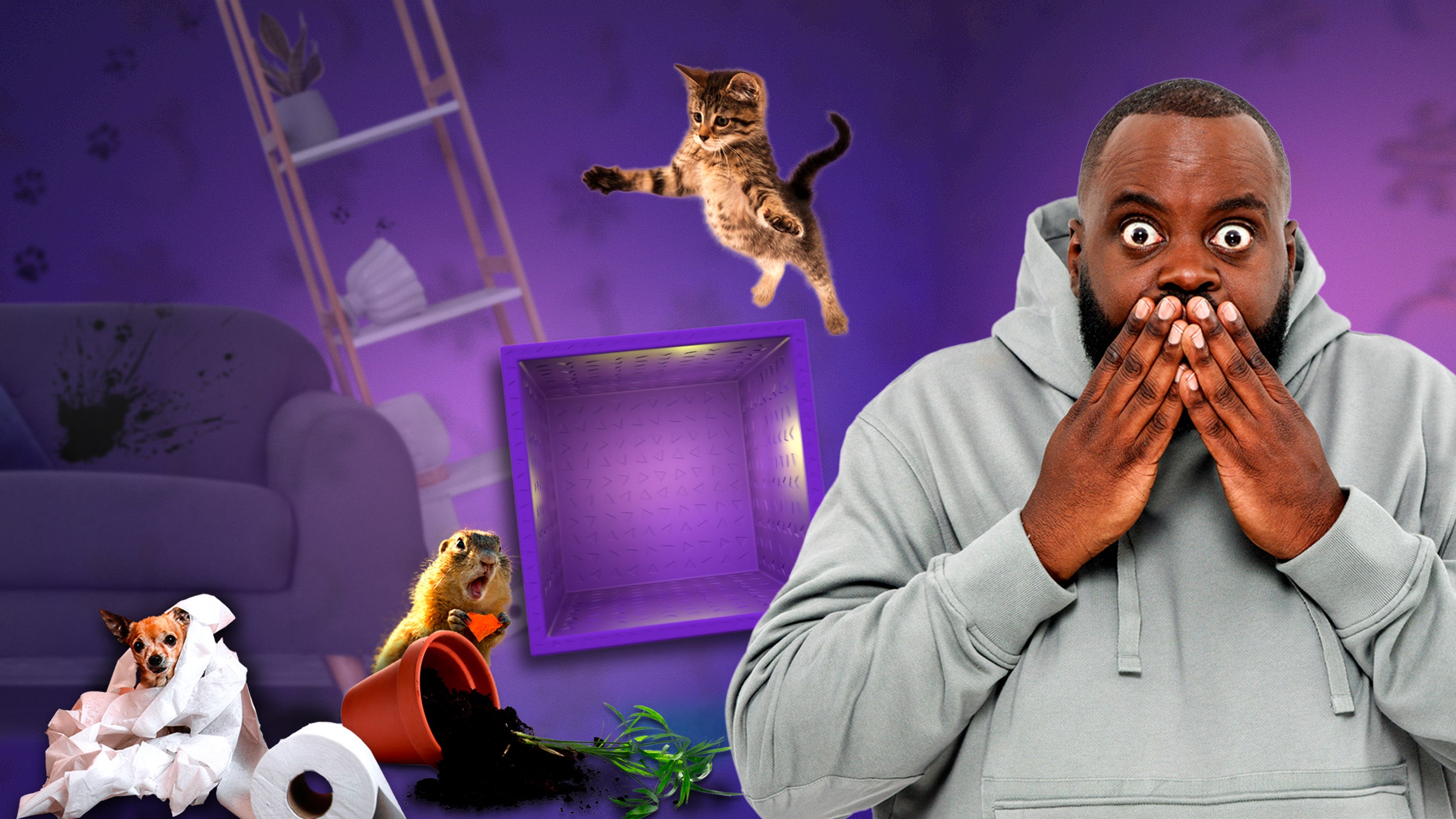 Les 100 vidéos qui ont fait rire le monde entier - spéciale les animaux pètent les plombs