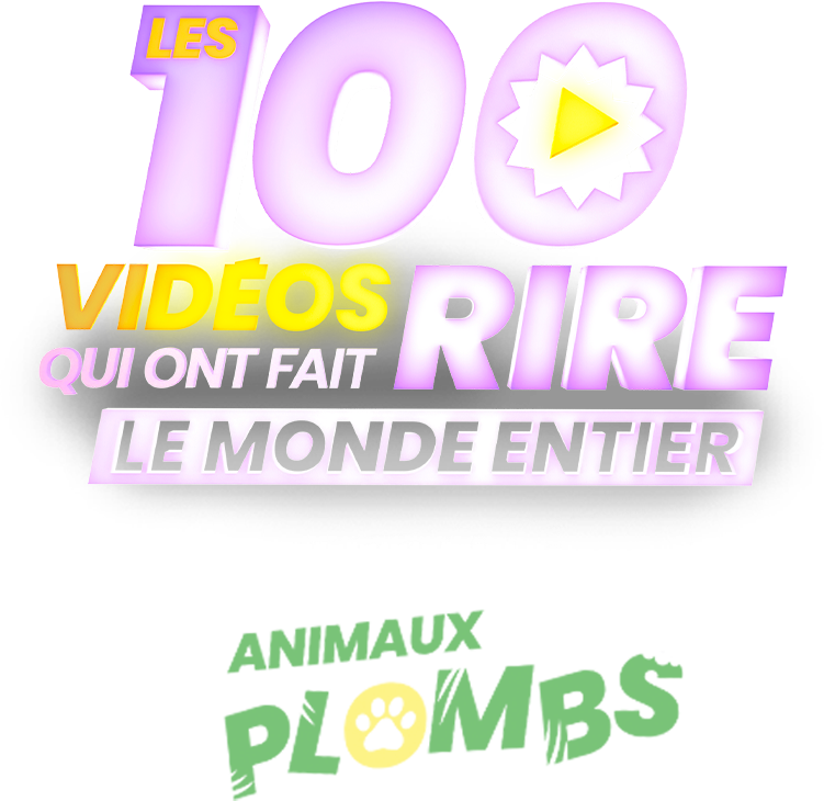 Les 100 vidéos qui ont fait rire le monde entier - spéciale les animaux pètent les plombs