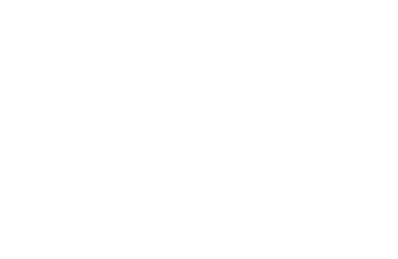 39-45 : L'Europe en guerre