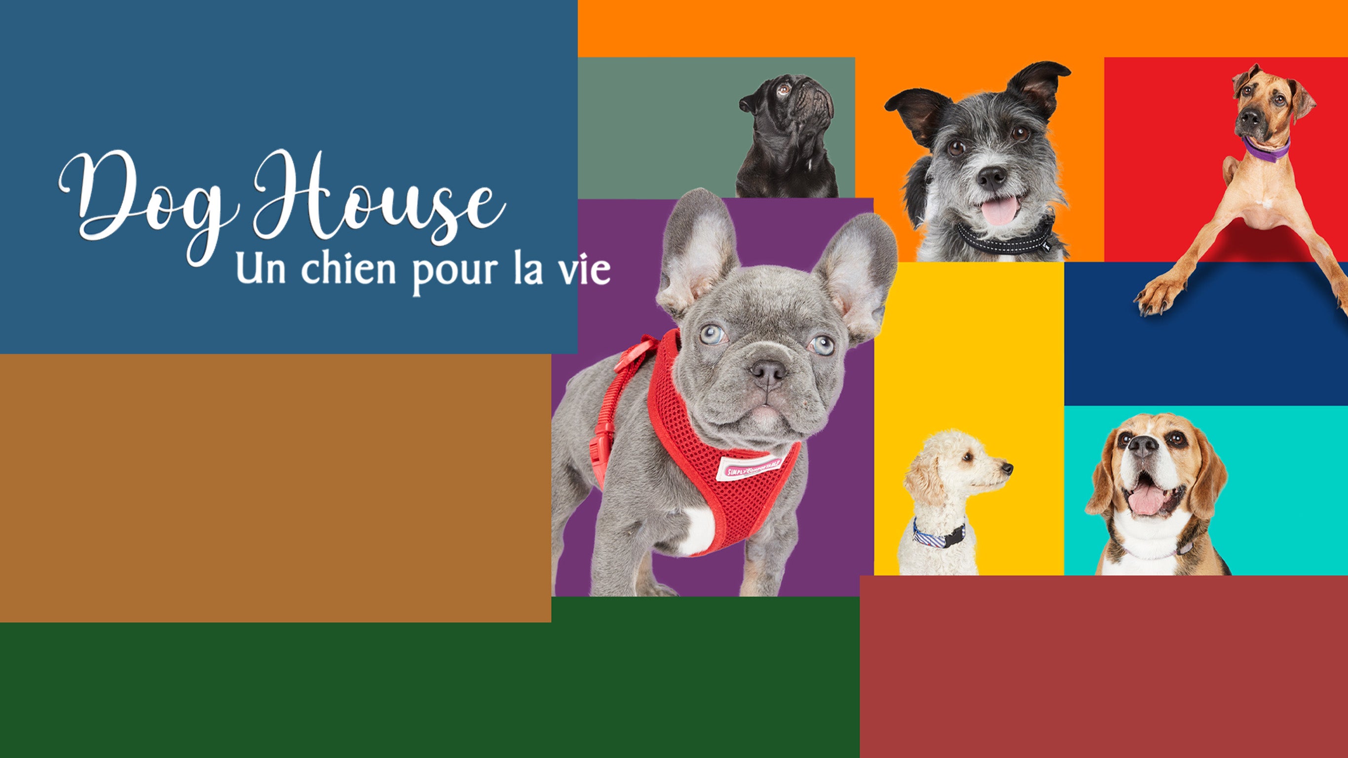 S4 E3 - Quand Harry rencontre Terry