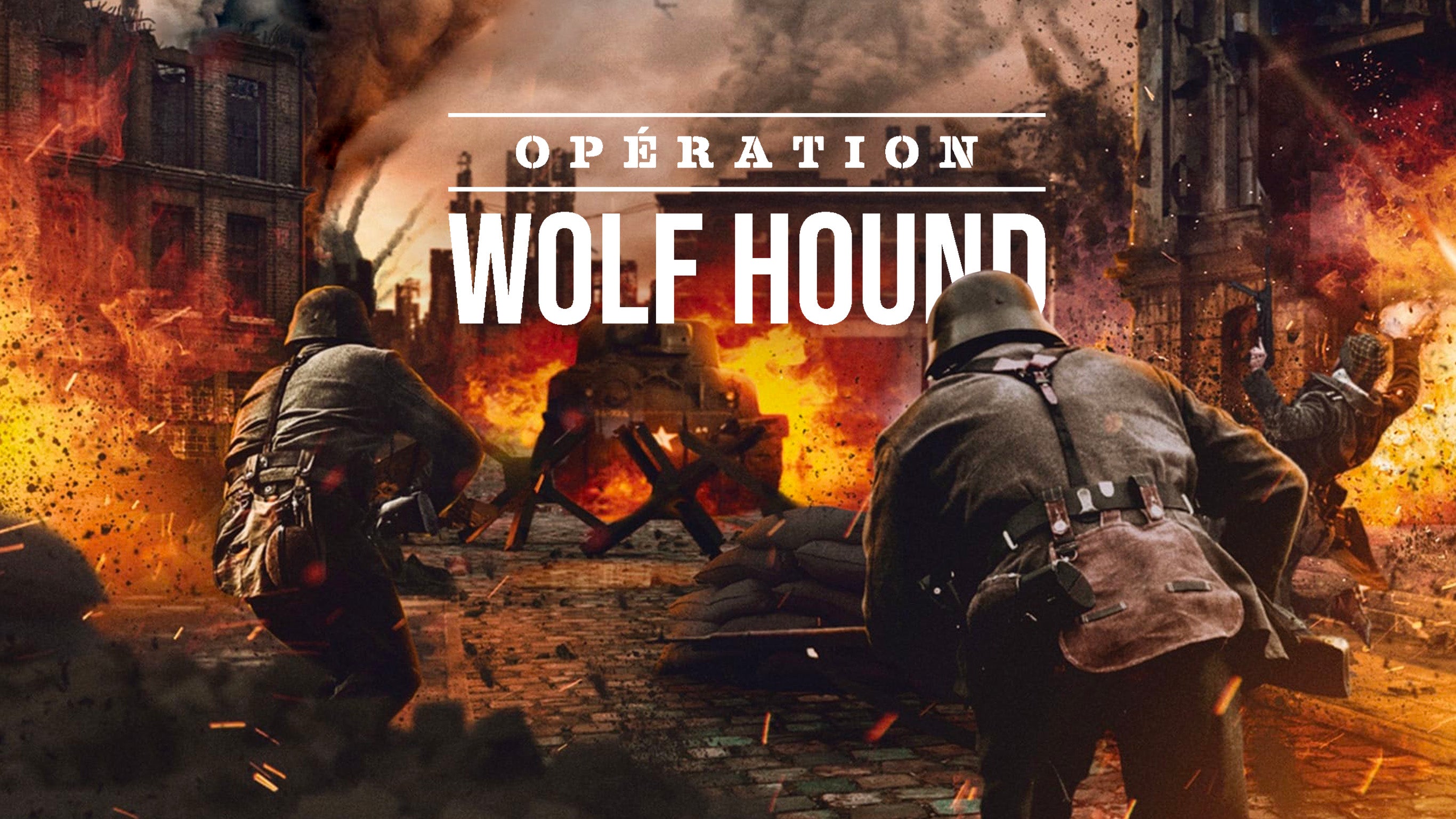 Opération Wolf Hound