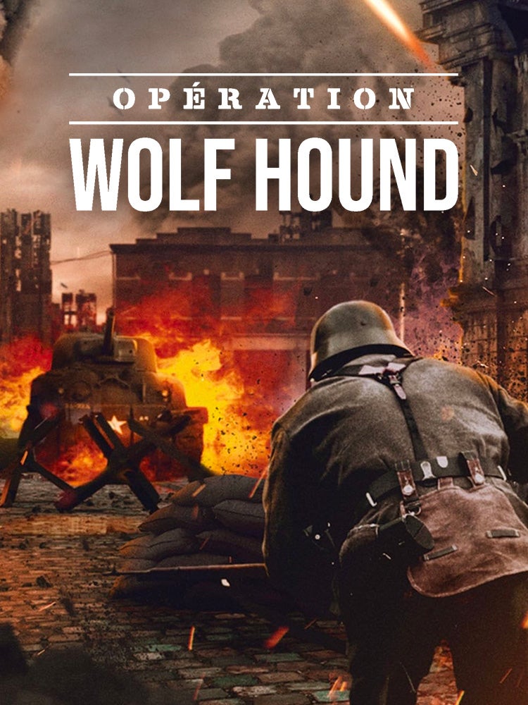 Opération Wolf Hound