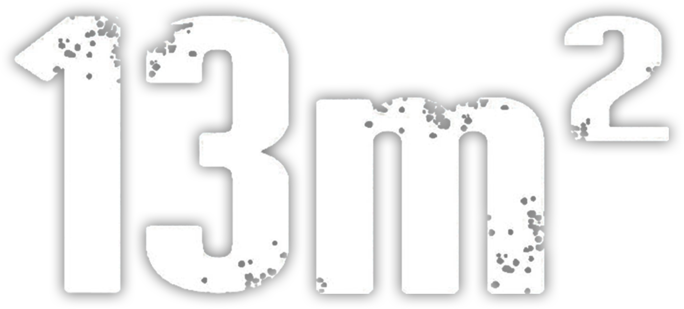 13 m²