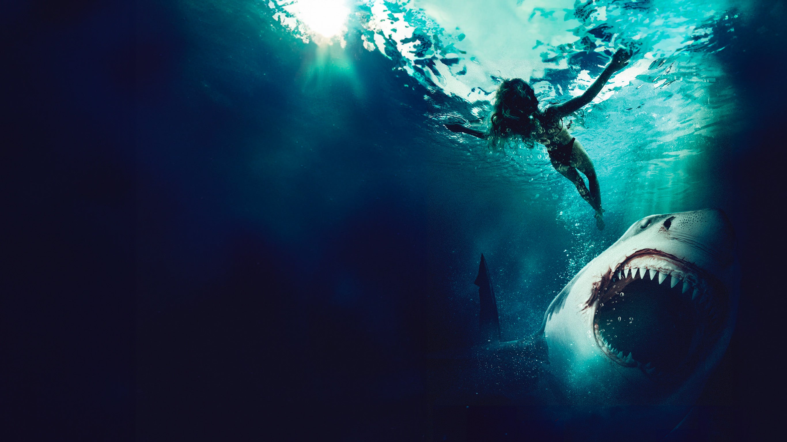 Maneater : requin tueur