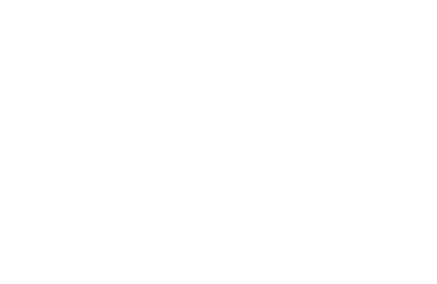 The spanish princess