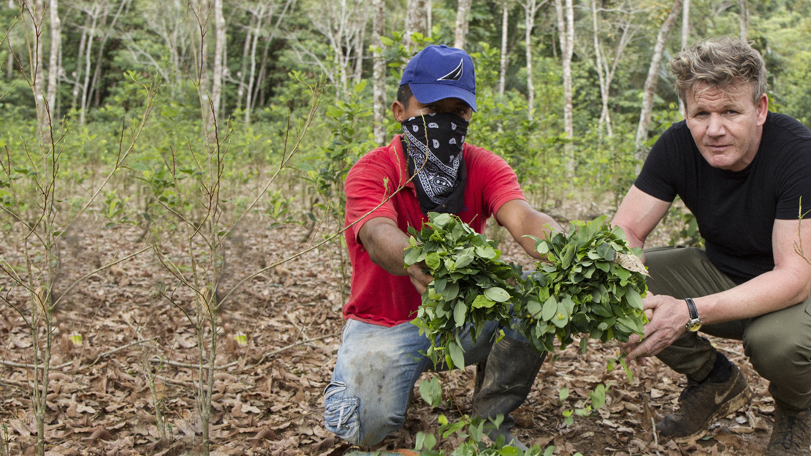 Gordon Ramsay en guerre contre la cocaïne