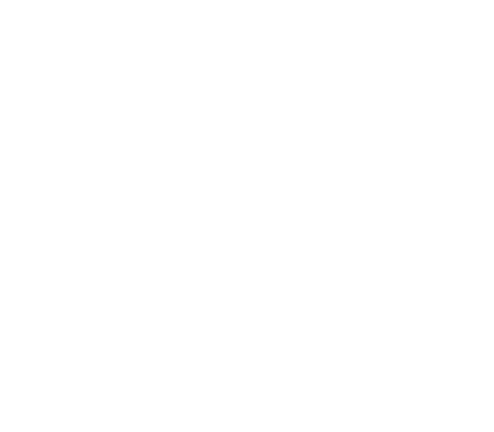 Un Noël Country