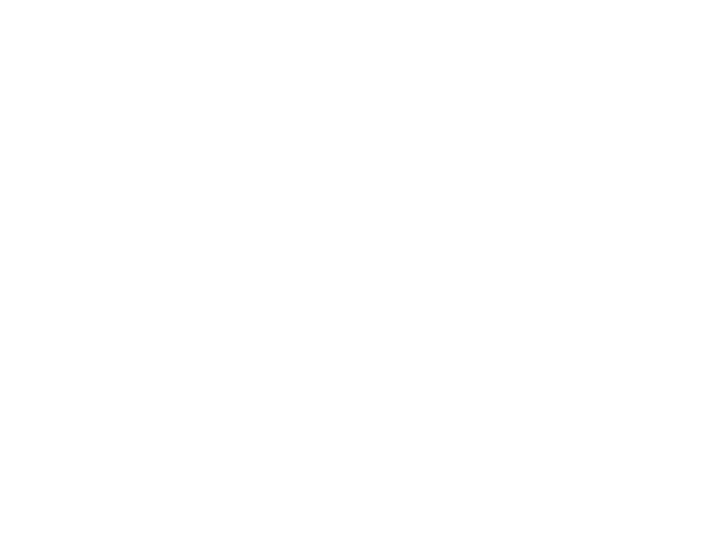 Une rose pour Noël