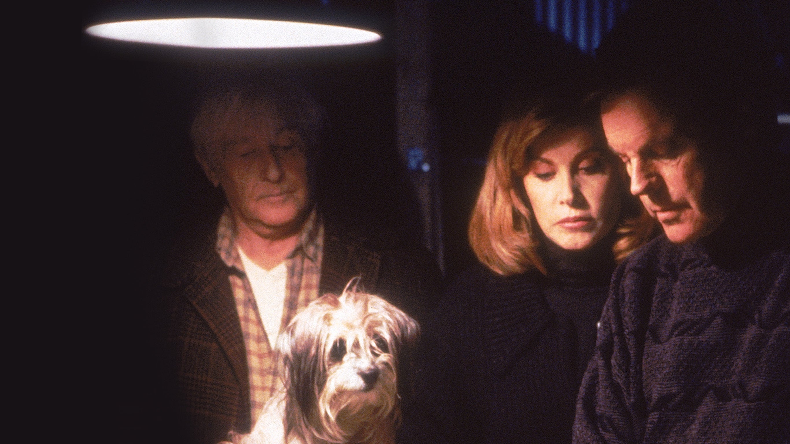 Pour l'amour du risque : une curieuse petite ville