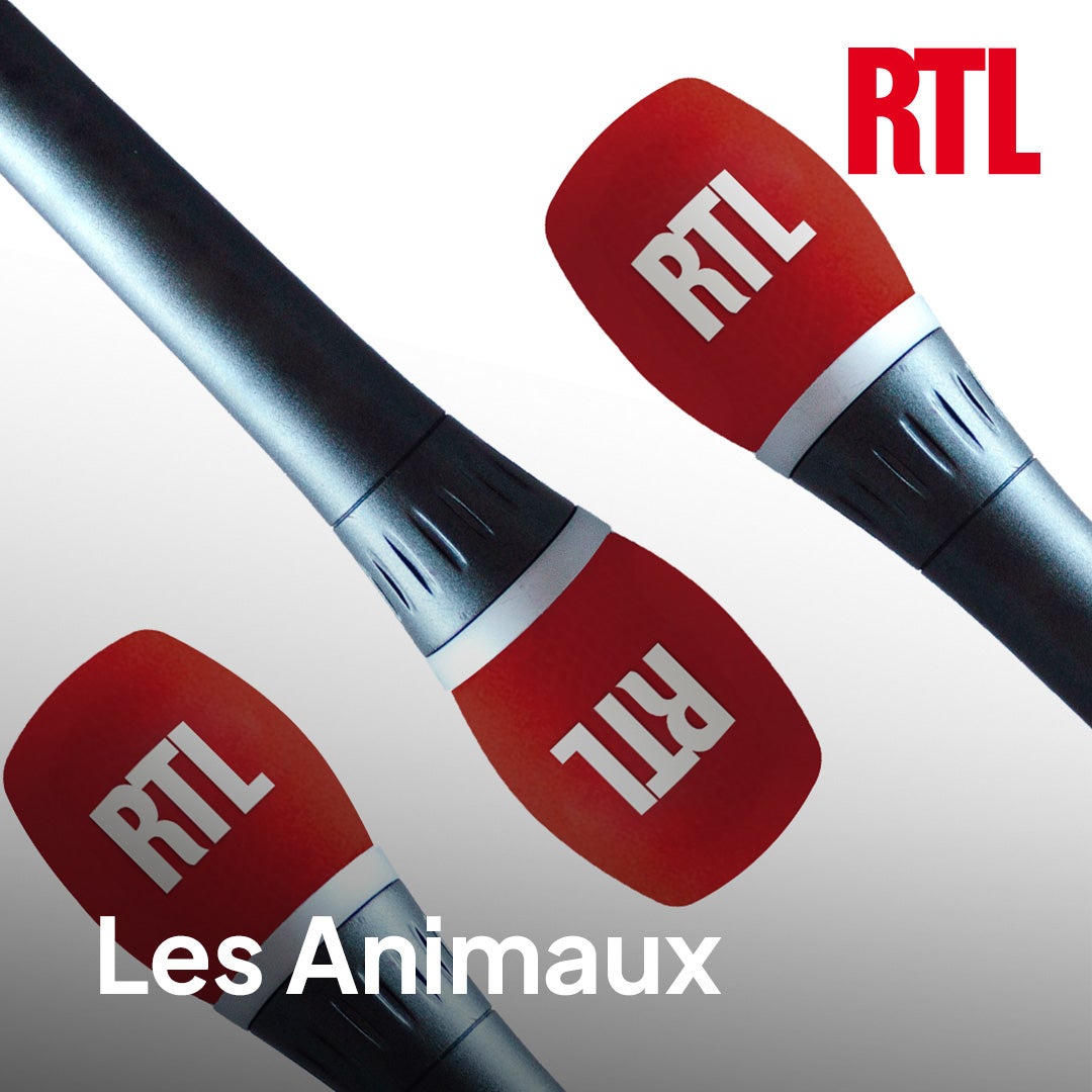 Les animaux
