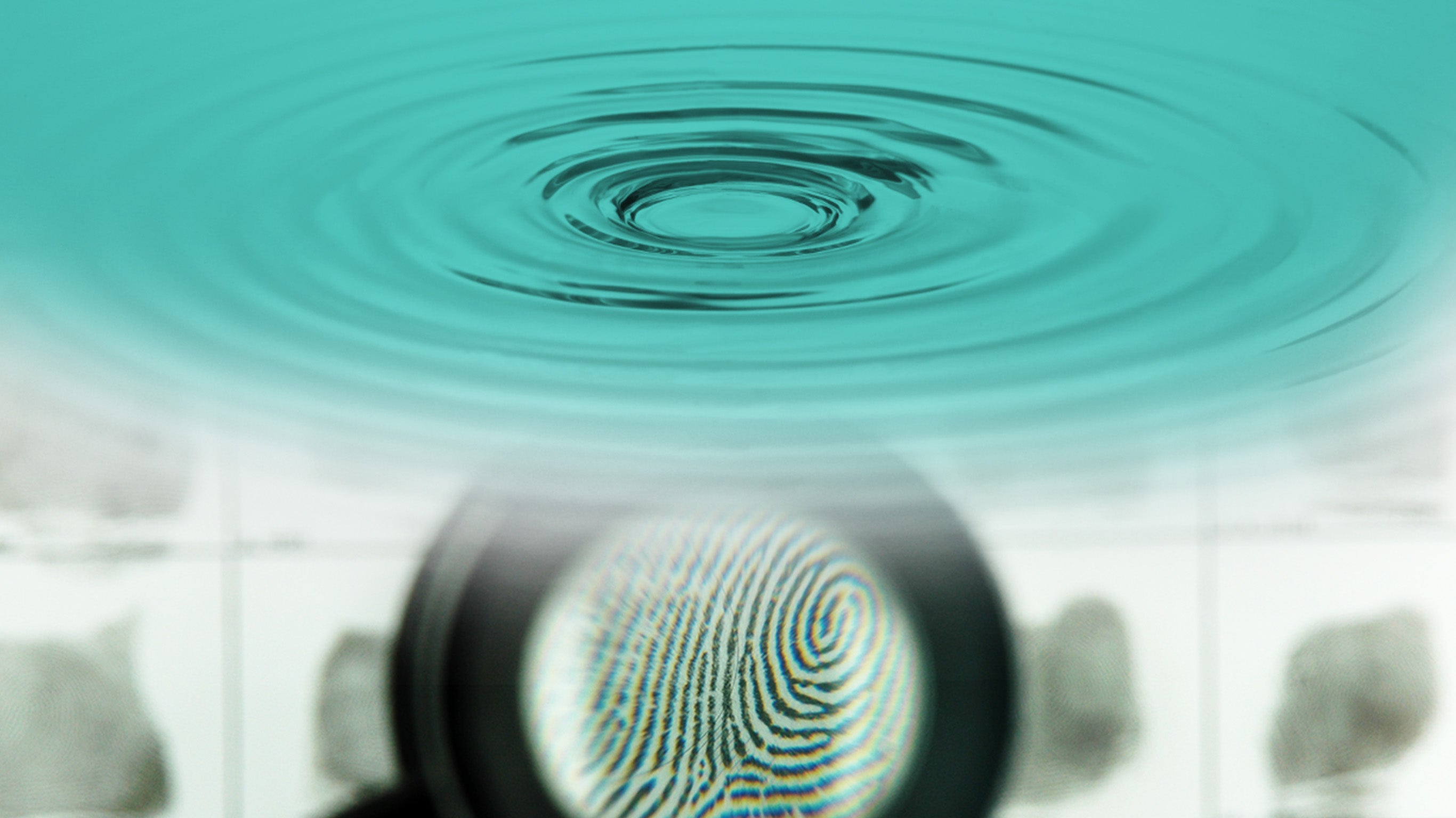 Immersions : les labos du crime