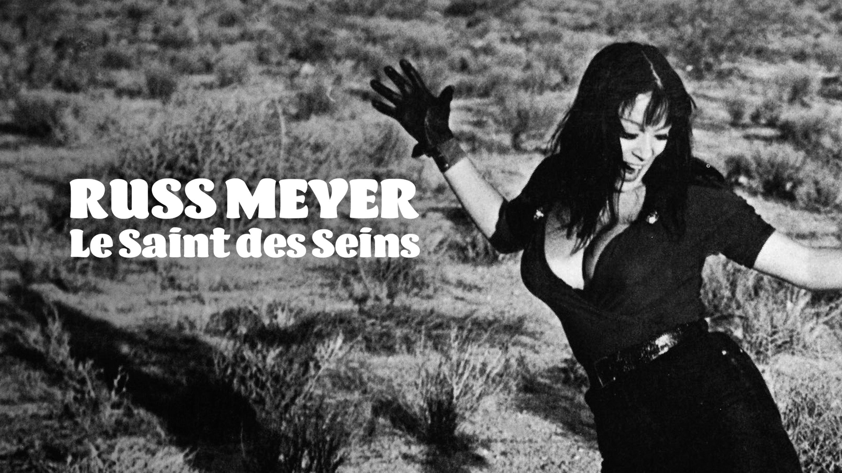 Russ Meyer, le Saint des seins