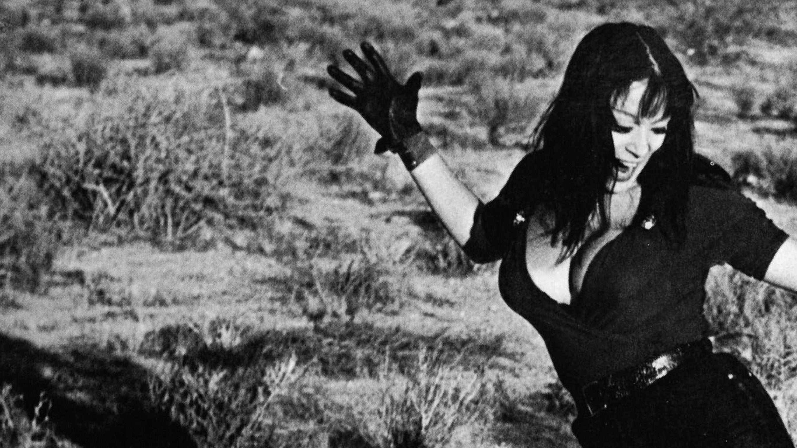 Russ Meyer, le Saint des seins