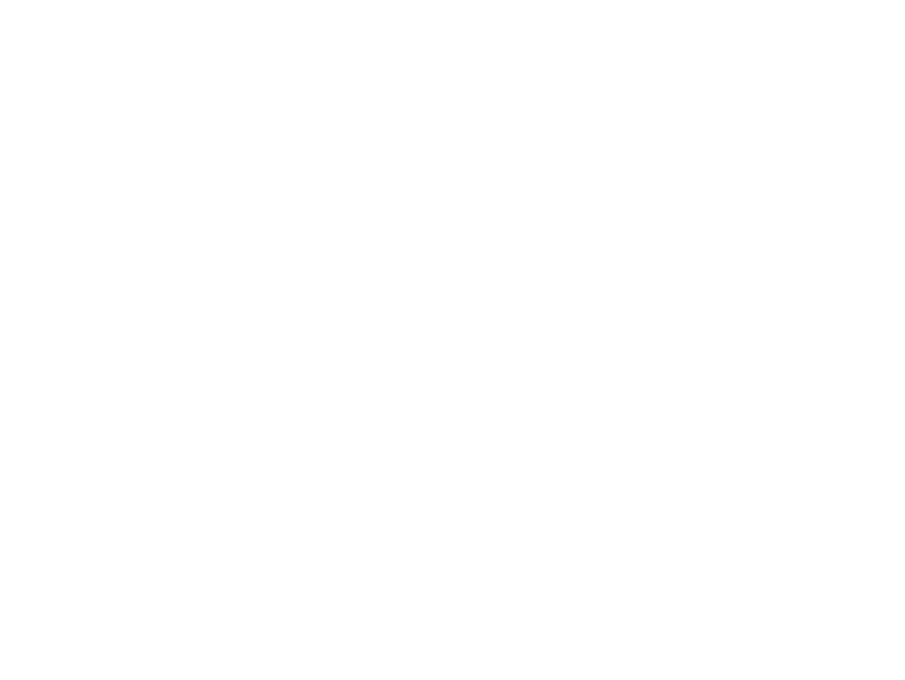 Mocro maffia