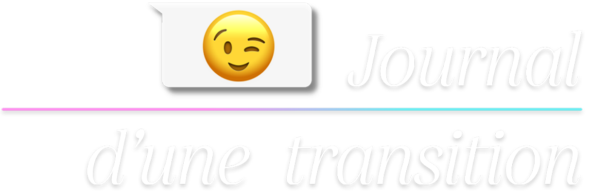 Journal d'une transition