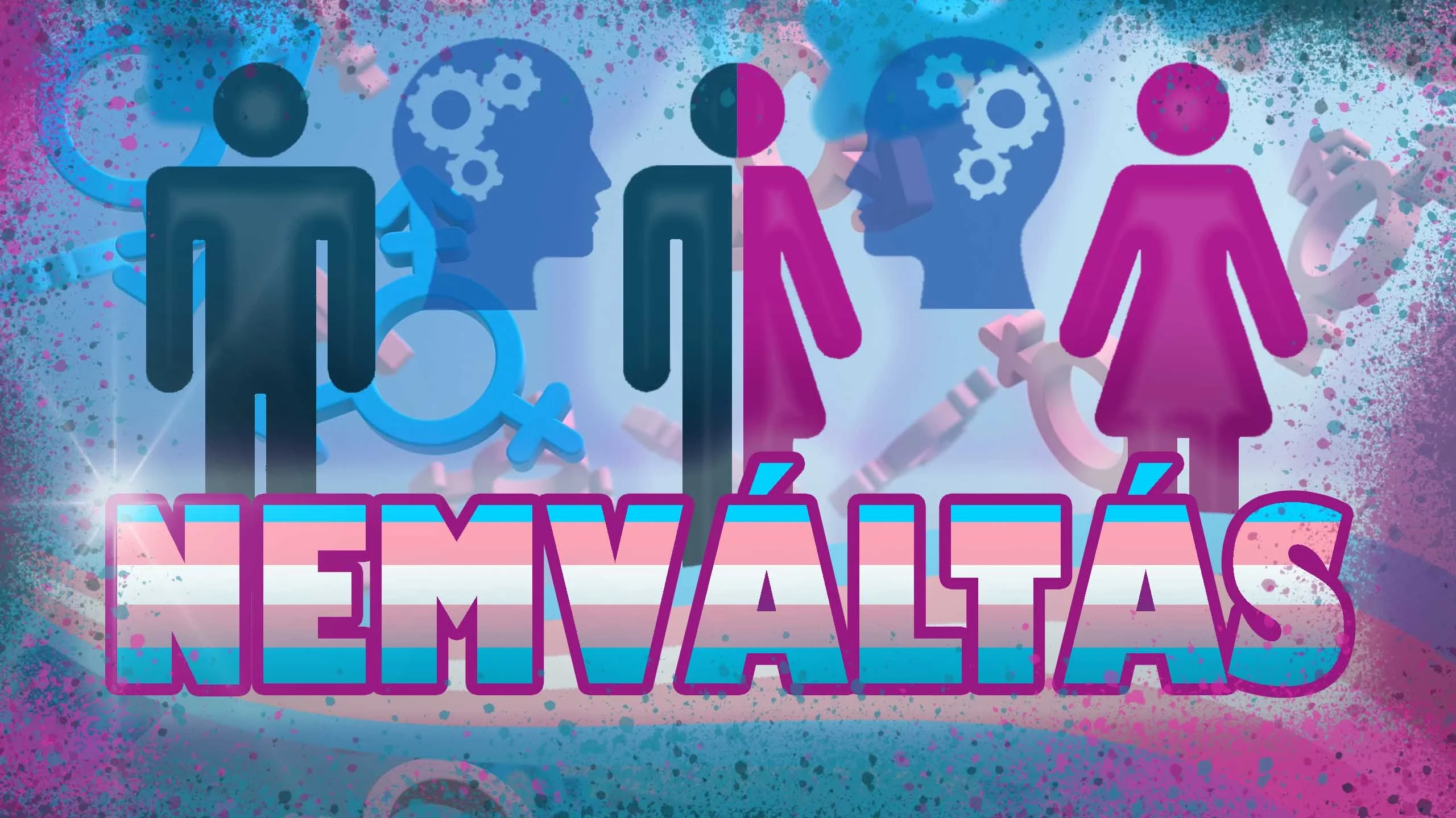 2. évad 6. rész - Nemátalakítás