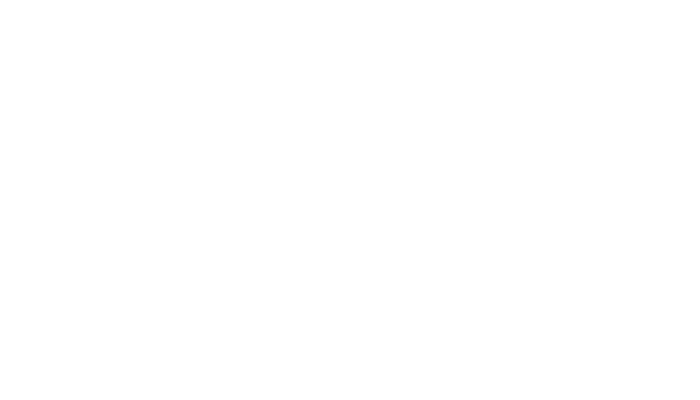 Vice-Versa 2