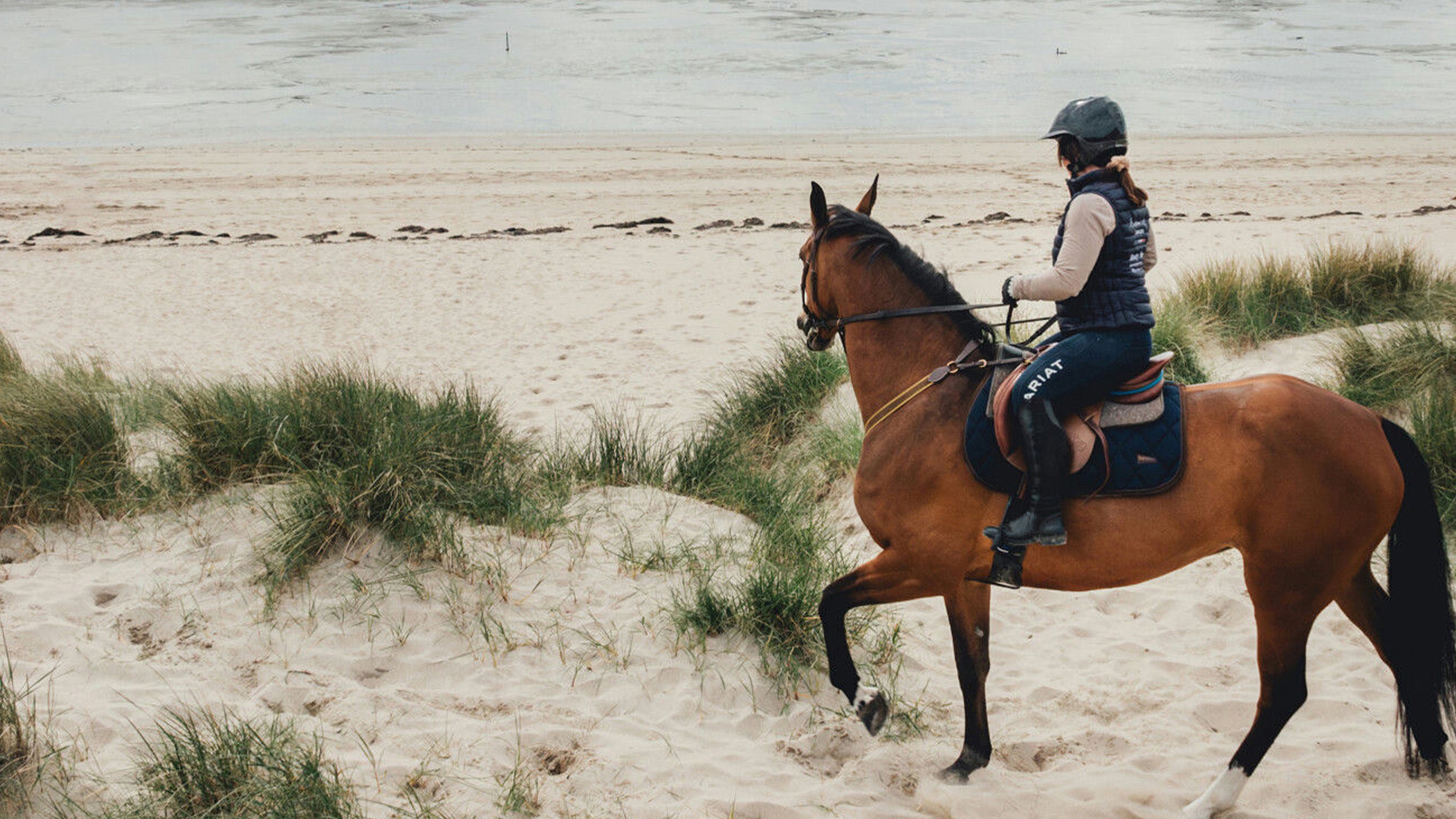 D'herbe et d'embruns