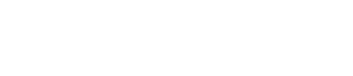 Brigade Anti-Criminalité : opérations spéciales à Montpellier