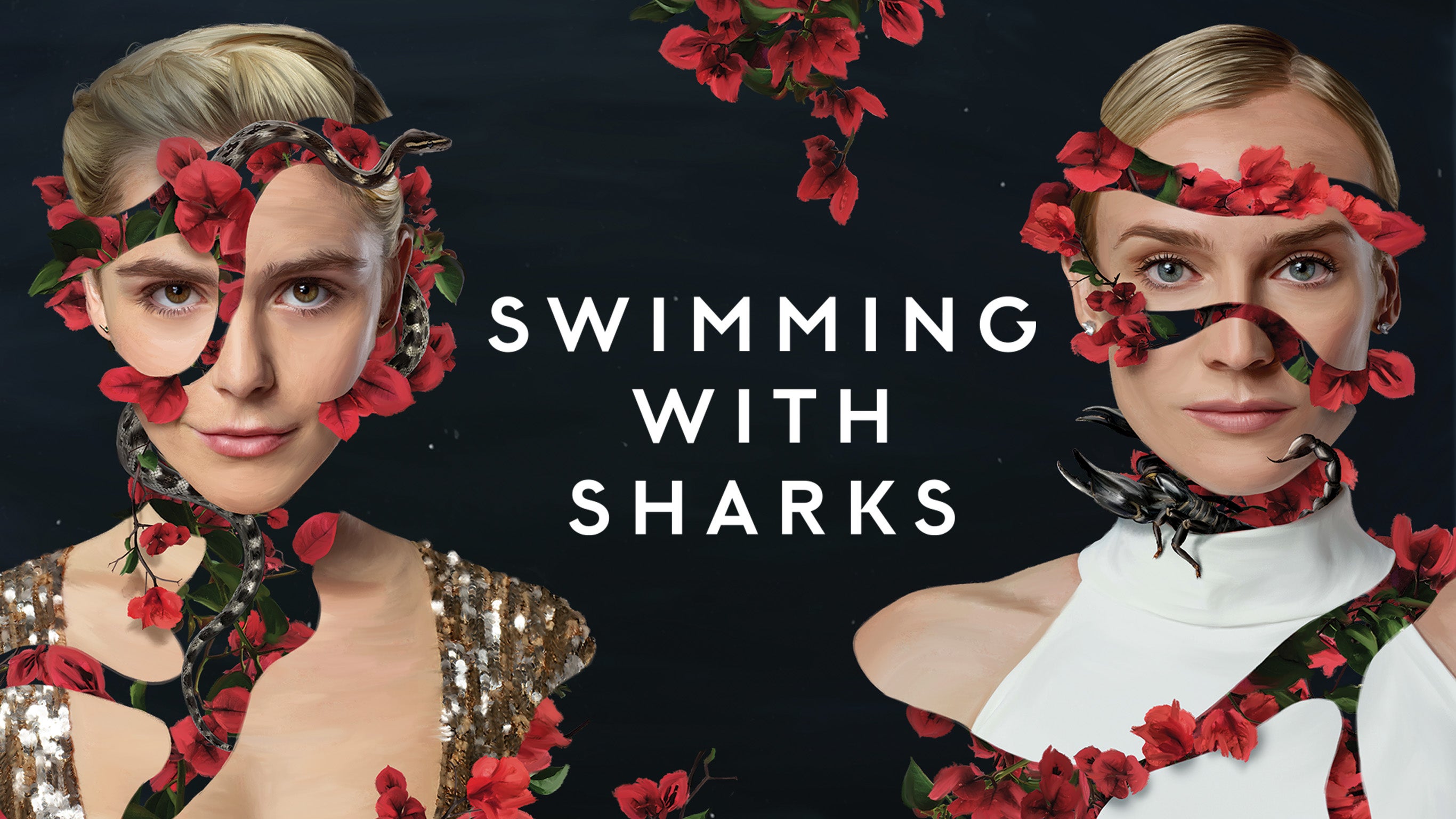 Swimming with sharks