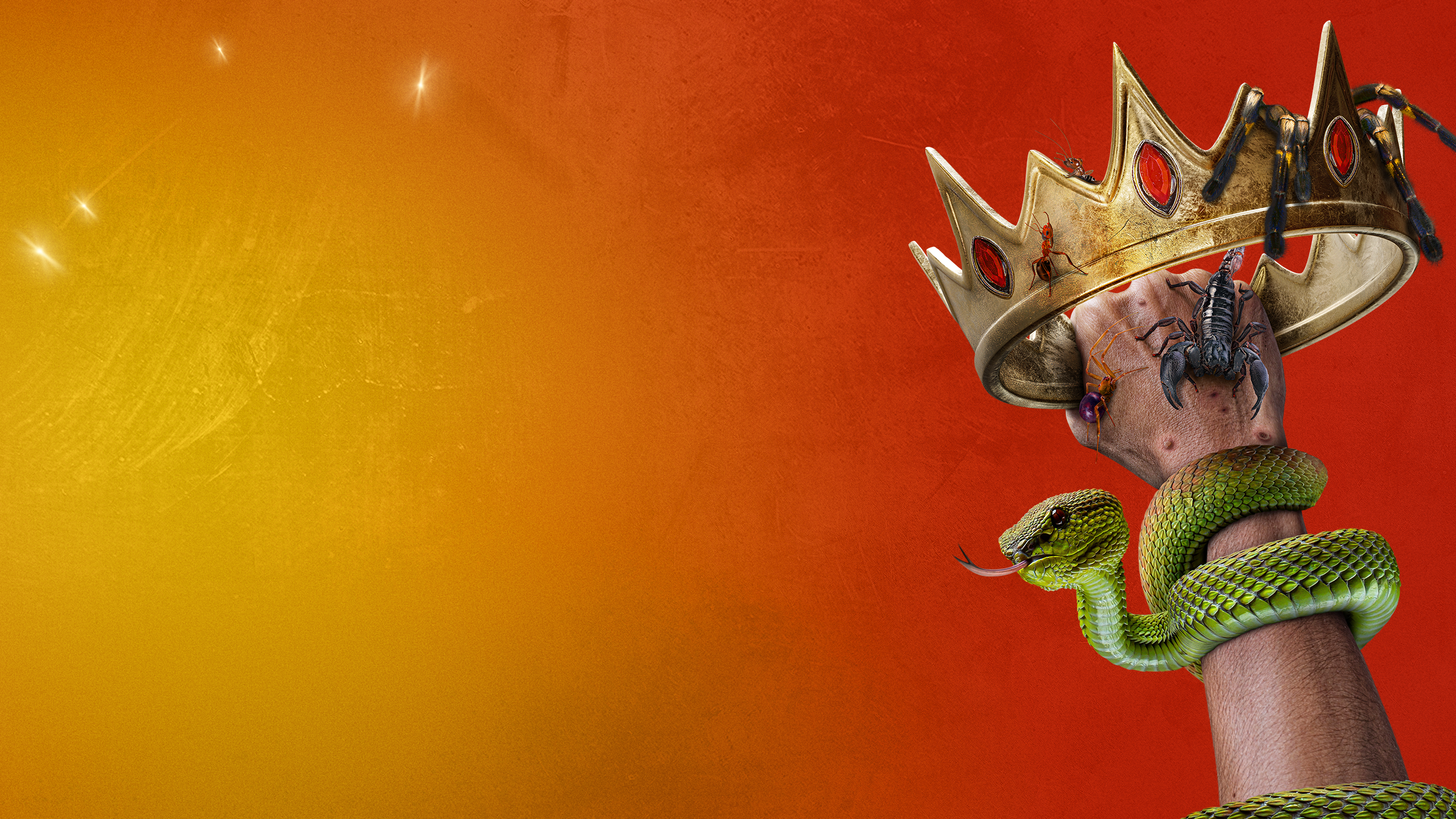 A világ legmérgezőbb állatai