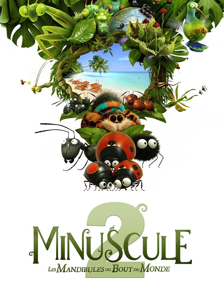 Minuscule 2 : les mandibules du bout du monde