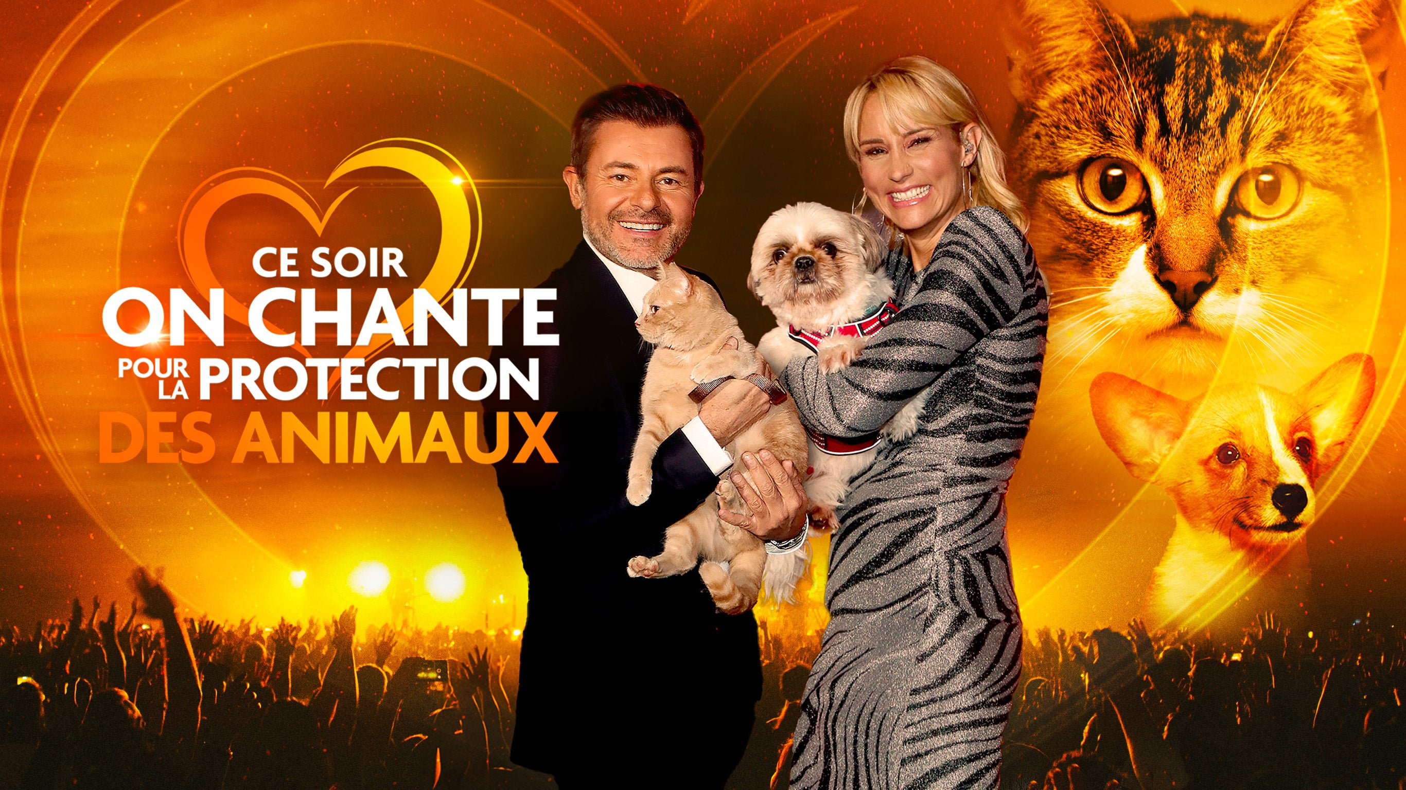 Ce soir on chante pour la protection des animaux