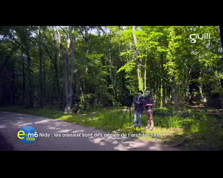 Comment les animaux font-ils pour se soigner dans la nature ?