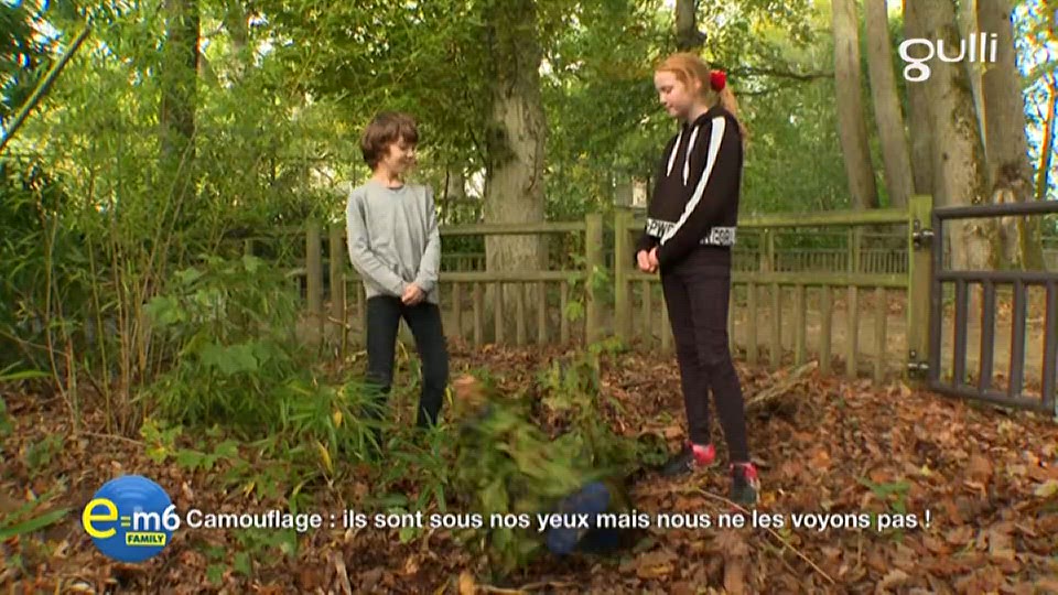 Quand les animaux font mieux que nous