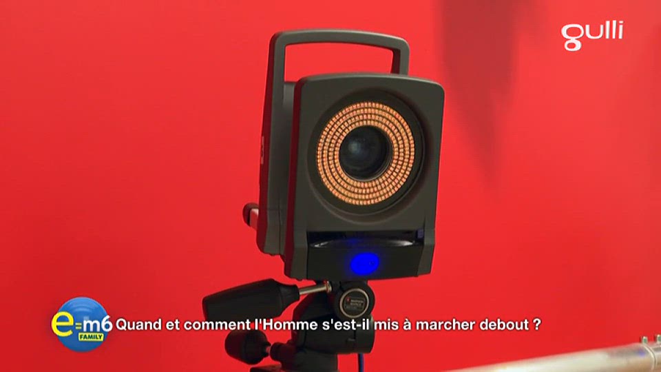 Dinosaures hommes chats et chiens de la préhistoire à aujourd'hui : comment se sont-ils transformés ?