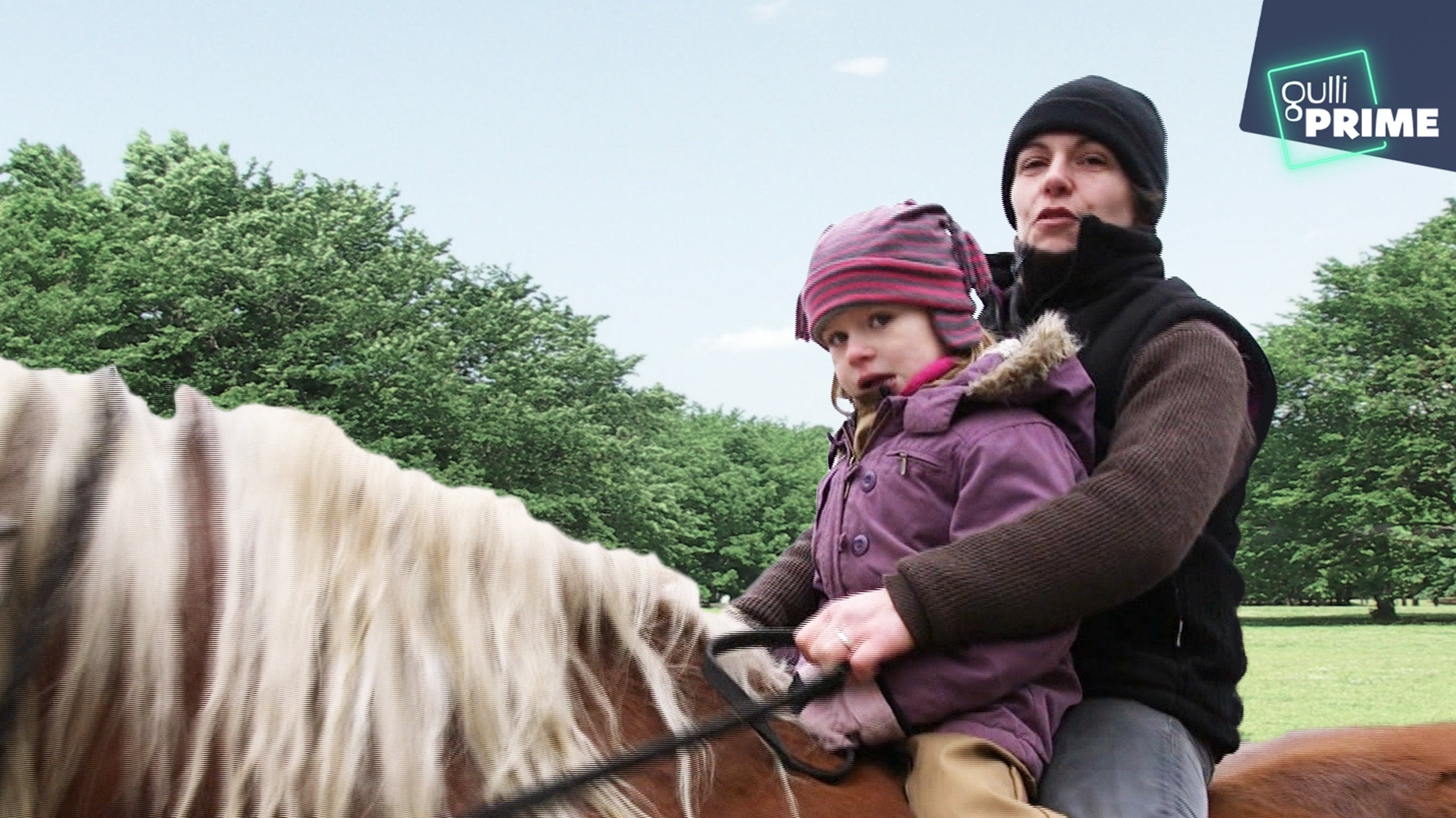 Familles extraordinaires