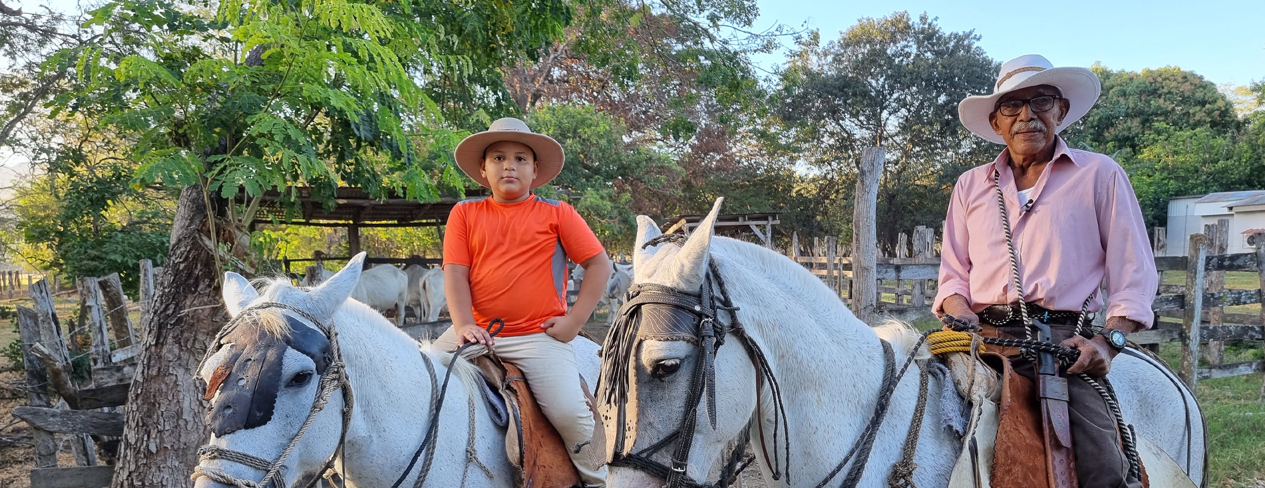 On the Spot: A hosszú élet titkai