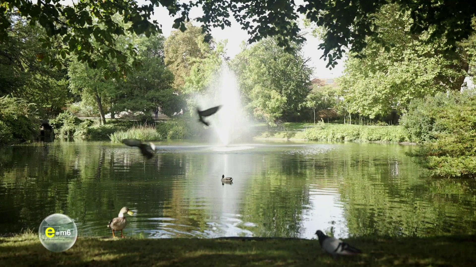 Eau du robinet, pétillante ou de pluie : les mille et une facettes de l’eau !