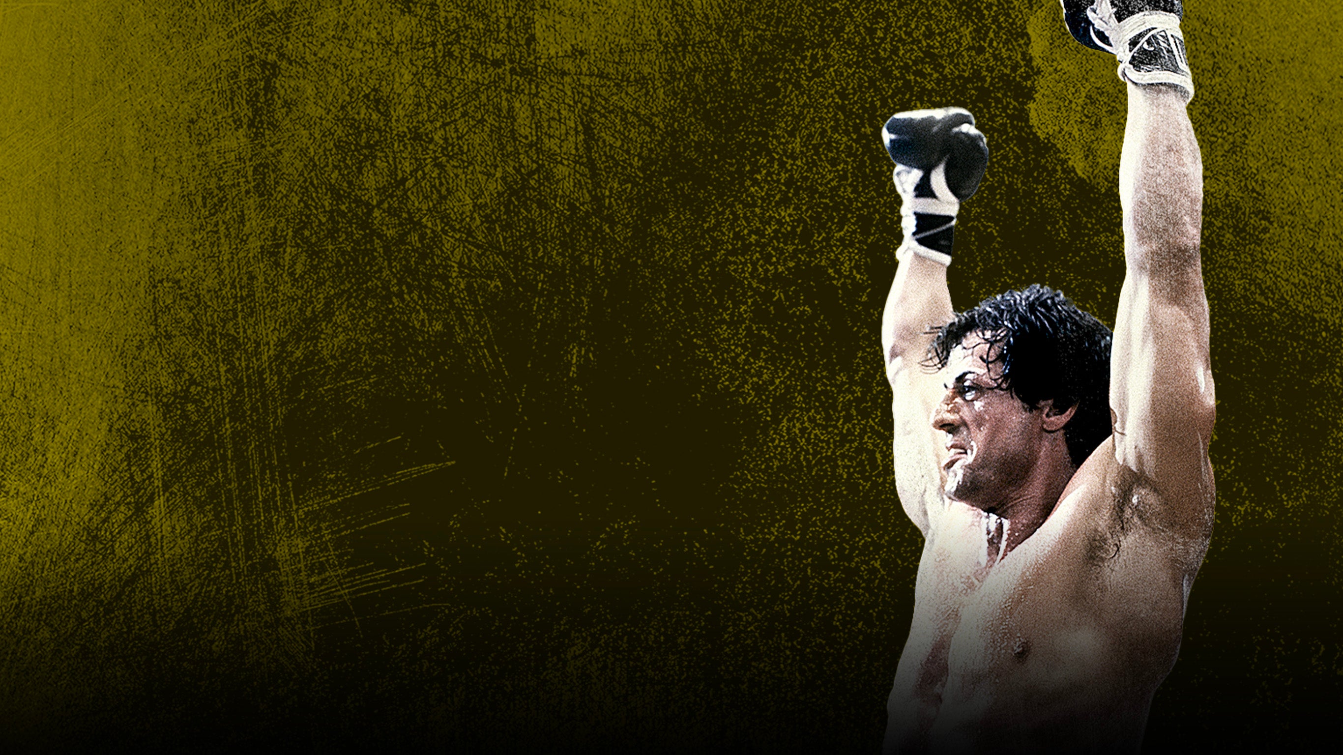 Rocky II, la revanche