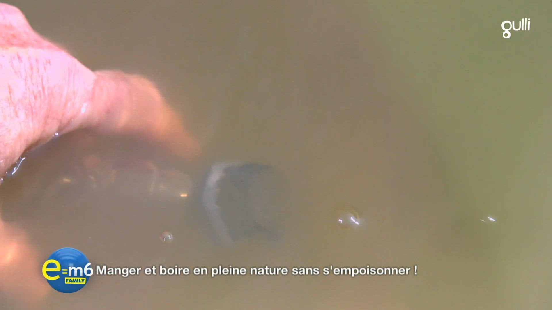 Manger boire s'orienter ou faire du feu : comment survivre en pleine nature ?